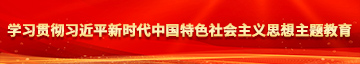 肉棒免费网站学习贯彻习近平新时代中国特色社会主义思想主题教育